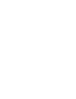 Scarlett G Ninja logo